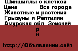 Шиншиллы с клеткой › Цена ­ 8 000 - Все города Животные и растения » Грызуны и Рептилии   . Амурская обл.,Зейский р-н